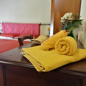 Trattoria Gatto Gambarone Affittacamere Noceto